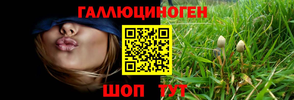 Псилоцибиновые грибы ЛСД Тавда